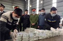 Phú Thọ tiêu hủy 300 bánh heroin