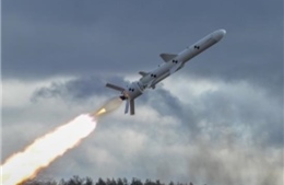 Ukraine bắn thử tên lửa hành trình tự sản xuất