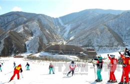 Olympic PyeongChang 2018: Hai miền Triều Tiên cùng tập huấn trượt tuyết 