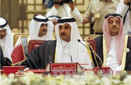  Bị phong tỏa nhiều mặt, Qatar vẫn phê chuẩn một loạt thỏa thuận hợp tác quốc tế 
