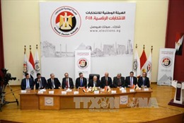Ai Cập công bố danh sách sơ bộ ứng cử viên cho cuộc bầu cử tổng thống 