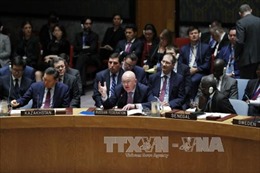 Nga không đồng thuận Hội đồng Bảo an LHQ trừng phạt Iran