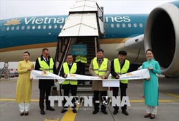 Vietnam Airlines nỗ lực tăng thị phần tại Pháp và châu Âu 