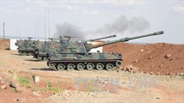 Syria chỉ trích Thổ Nhĩ Kỳ về chiến dịch &#39;Nhành ô liu&#39;