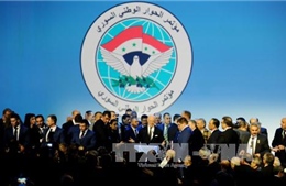 Chính phủ Syria hoan nghênh kết quả Đại hội Đối thoại dân tộc tại Sochi, Nga