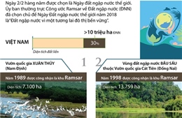 8 khu Ramsar của Việt Nam được thế giới công nhận