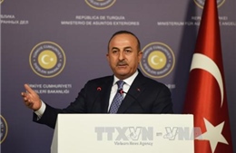 Thổ Nhĩ Kỳ khẳng định ủng hộ sự toàn vẹn lãnh thổ của Syria
