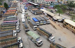 Lạng Sơn không có tình trạng dồn ứ hàng hóa tại các cửa khẩu
