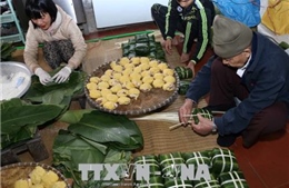 Làng nghề Tranh Khúc cung cấp cho thị trường gần 470.000 chiếc bánh chưng