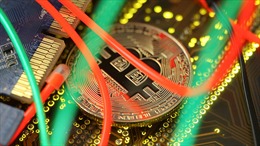 Bitcoin: Những cảnh báo bị bỏ qua và hậu quả nhãn tiền