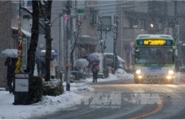 Tuyết rơi dày tại Nhật Bản khiến hàng nghìn ô tô mắc kẹt trên đường