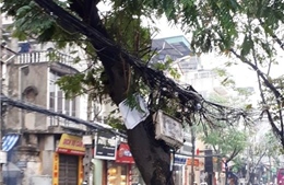 VNPT Hà Nội phản hồi về ngổn ngang dây cáp viễn thông tại phố Đội Cấn
