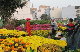 TP Hồ Chí Minh có khoảng 130 chợ hoa Tết 2018