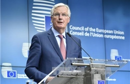 EU muốn có quyền trừng phạt trong giai đoạn chuyển tiếp hậu Brexit