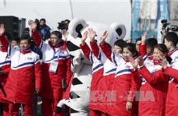 Olympic PyeongChang 2018: Một số điều thú vị trước giờ khai mạc 