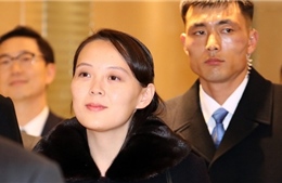 Video em gái nhà lãnh đạo Kim Jong Un đi chuyên cơ tới Hàn Quốc, vệ sĩ vây quanh
