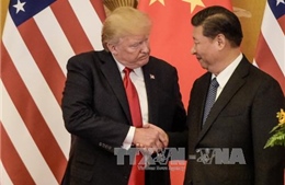Tổng thống Mỹ Donald Trump sẵn sàng tăng cường hợp tác với Trung Quốc
