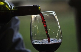 Chile đạt kỷ lục về xuất khẩu rượu vang 