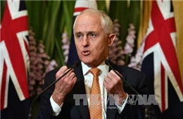 Australia thanh tra ngành tài chính sau nhiều bê bối