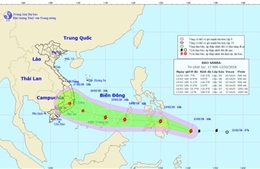 TP Hồ Chí Minh chủ động ứng phó với bão Sanba