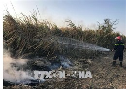 Hỏa hoạn tại cánh đồng mía rộng 20 ha ở Kon Tum
