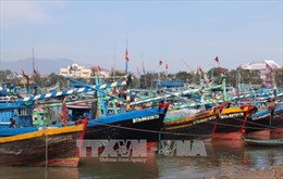 Các tỉnh, thành phố từ Đà Nẵng đến Kiên Giang chủ động ứng phó với bão Sanba 