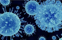 Trên 70 sinh viên Trung Quốc nghi nhiễm norovirus 