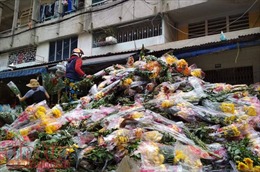 Sáng 30 Tết, hoa tươi đổ bỏ chất thành đống ở chợ hoa TP Hồ Chí Minh