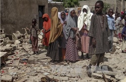 Nigeria: Đánh bom liều chết tại Maiduguri gây thương vong lớn 