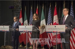 Canada dự định đàm phán FTA với Mercosur 