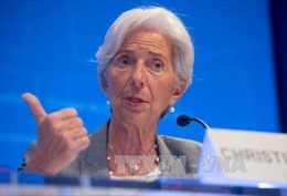 Tổng Giám đốc IMF kêu gọi tránh làm tổn hại đến thương mại và đầu tư