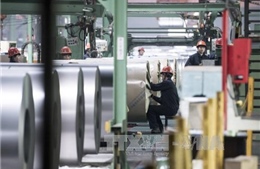 Đức phản đối kế hoạch của Mỹ tăng thuế nhập khẩu thép