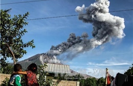 Indonesia: Núi lửa Sinabung phun trào làm tăng nguy cơ cháy rừng và cháy đất than bùn