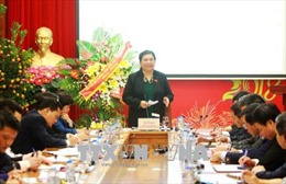 Phó Chủ tịch Quốc hội Tòng Thị Phóng thăm, làm việc với BHXH Việt Nam