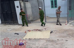 Hung thủ sát hại nam thanh niên ở quận Bình Tân mới ra tù