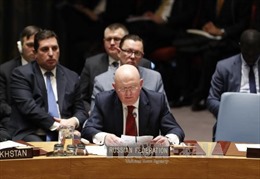 Nga khẳng định nỗ lực hiện thực hóa lệnh ngừng bắn tại Syria
