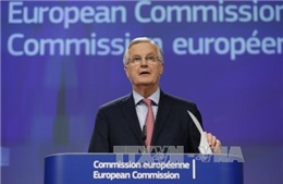EU phản đối cách tiếp cận của Anh với tương lai thỏa thuận thương mại song phương 