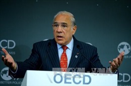 Việt Nam tham dự Hội nghị bộ trưởng toàn cầu về SME lần thứ ba của OECD 