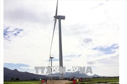 Mỹ An là một trong những vùng có tiềm năng về điện gió tại Bình Định