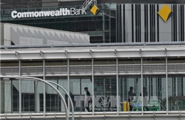Ngân hàng lớn nhất Australia phủ nhận cáo buộc rửa tiền 