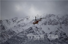 Vụ rơi máy bay tại Iran: Yêu cầu tạm ngừng khai thác dòng máy bay ATR