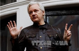 Anh và Ecuador chưa thể thỏa thuận để giải phóng cho nhà sáng lập WikiLeaks