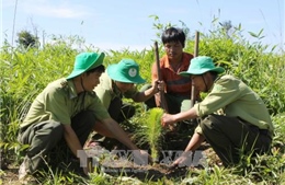 Hướng dẫn quản lý và sử dụng tiền dịch vụ môi trường rừng 