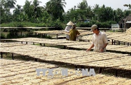 Thu nhập cao từ nghề làm chuối khô truyền thống