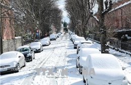 Cảnh báo nguy cơ bão tuyết tiếp tục tại châu Âu 