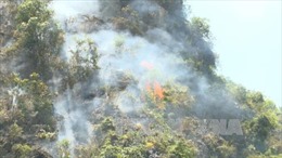 Cháy rừng phòng hộ tại Trạm Tấu, Yên Bái