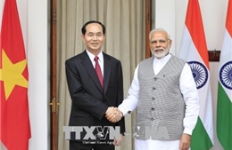 Chủ tịch nước Trần Đại Quang hội đàm với Thủ tướng Ấn Độ Narendra Modi