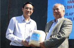 Hàn Quốc viện trợ 10.000 tấn gạo cho miền Trung