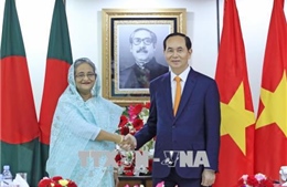 Chủ tịch nước Trần Đại Quang hội đàm với Thủ tướng Bangladesh Sheikh Hasina 