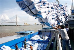 Vì sao giá gạo xuất khẩu Việt Nam lại vượt Thái Lan?